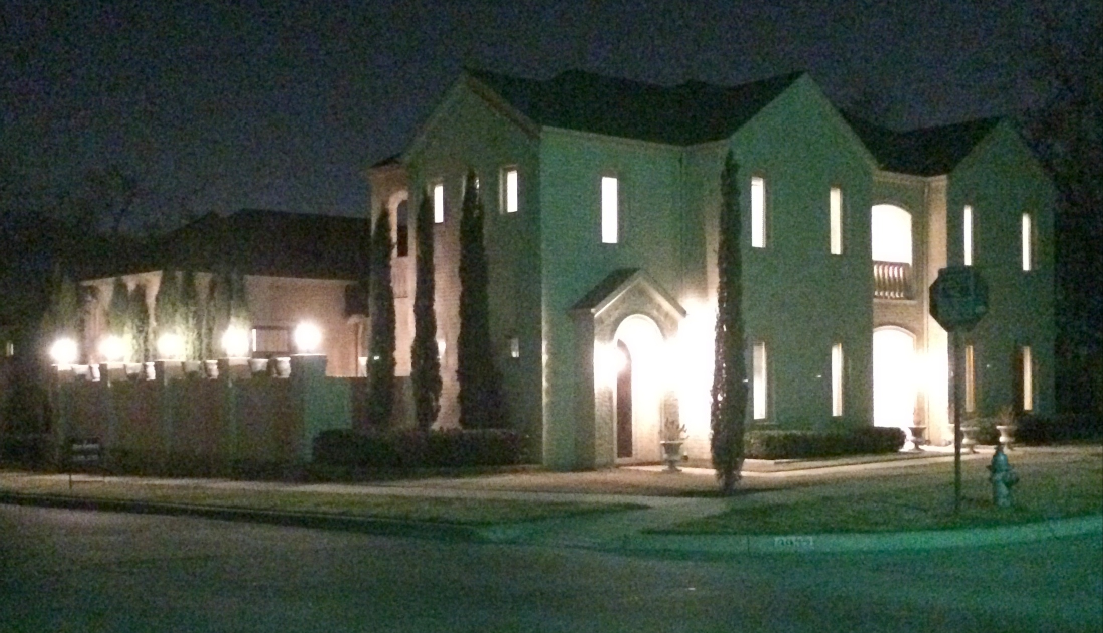 Night view 3932 Bunting